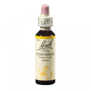Produktbild von BACHBL&Uuml;TEN Hornbeam Tropfen